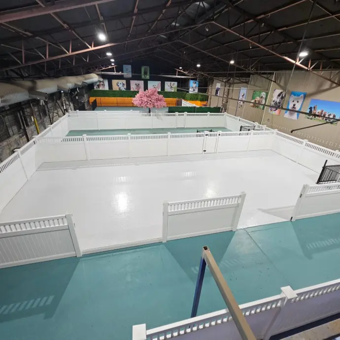 dog daycare with epoxy floors