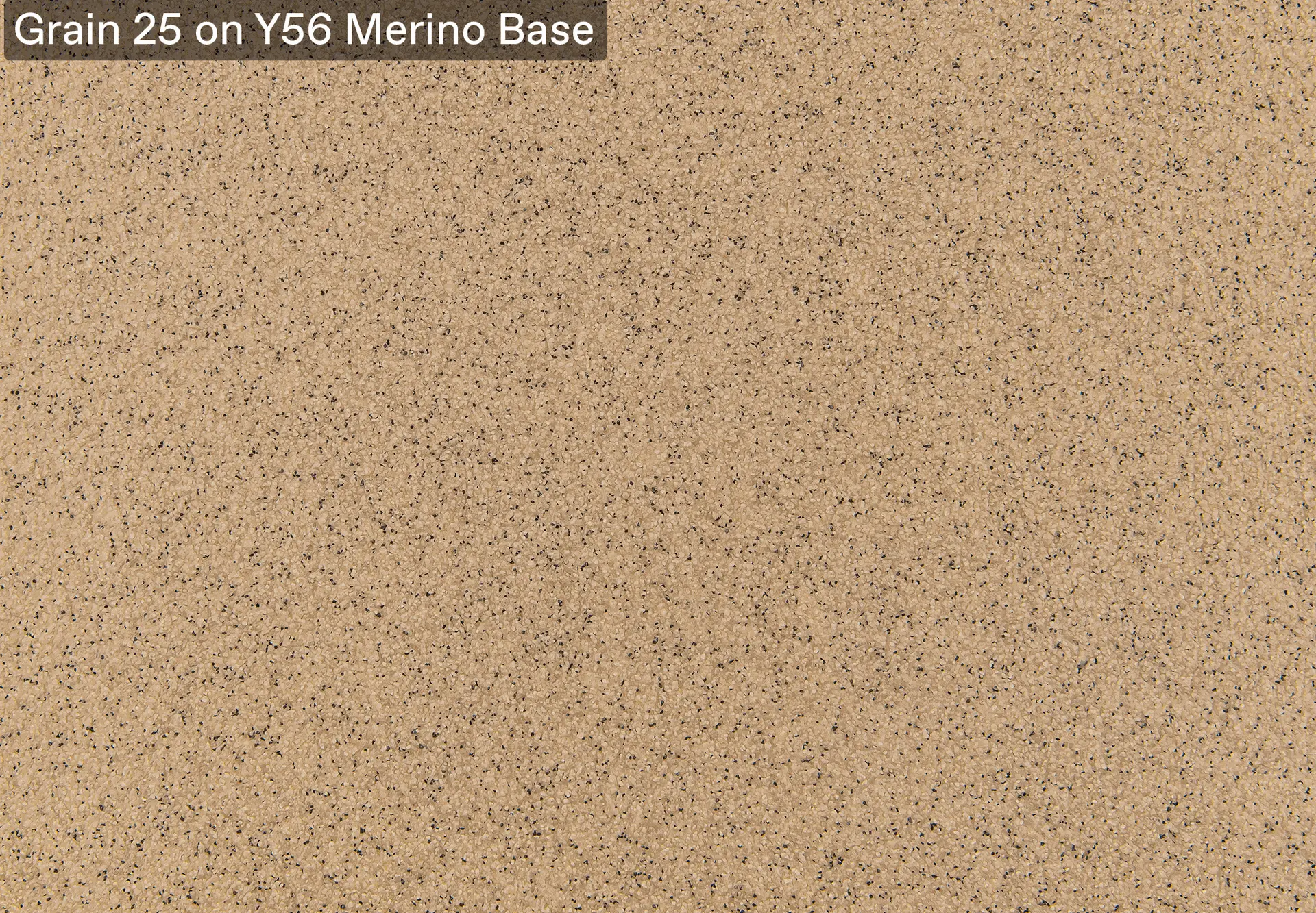 Grain 25 on Y56 Merino Base Grain 25 on Y56 Merino Base