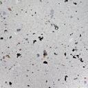 Litho Flake Nickle on N43 Pipeline Grey