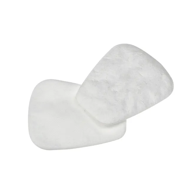 3M P2 Particulate Filter Pair 5925